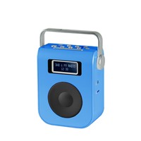 Portable DAB Radio with Dual Clock Alarm
