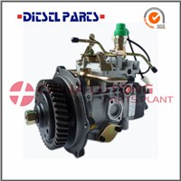 Ve Injection Pump for Diesel Engine Jx493q1 Gw4d28 NJ-VE4/11F1900LNJ03