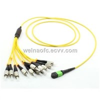 Fiber Optic Patch Cord Cable Distribution 12 Fibers MPO-FC UPC