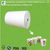 PE Coated Cup Paper Roll/Reel