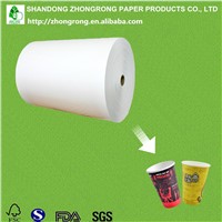PE Coated Paper Cup Raw Materials Wholesale from China