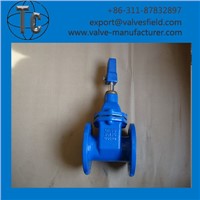 Resilient Seated NRS GATE VALVE