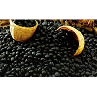 Black Soybean Hull P. E.Anthocyanidins, Anthocyanins