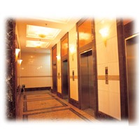 Different Capacity, Speed &amp;amp; Design Passenger Elevator/Passenger Lift