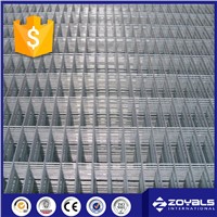 Galvanized Welded Wire Mesh Panel for Sale