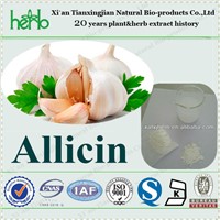 Garlic Extract Powder with Allicin 10%