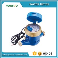 Younio Pulse Output Reed Switch Remote Reading Water Meter