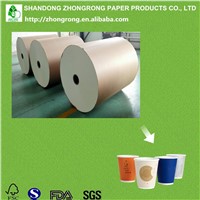 PE Coated Paper Cup Raw Material Jumbo Roll