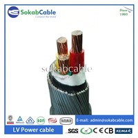 Low Voltage Steel Wire Armored Power Cable