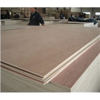 Hot Selling Commercial Okoume Plywood Sheets to Europe Market