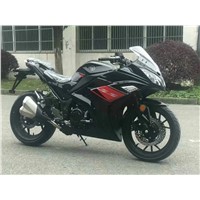 Motorcycle Street Bike/Dirt Bike 200/250cc