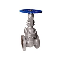 API DIN Standard Wcb/Stainless Steel Gate Valve