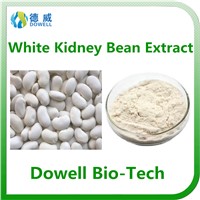 100% Pure Natural White Kidney Bean Extract Powder Phaseolin 1% 2% for Losing Weight