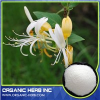 Honeysuckle Extract Powder/ISO Certified Honeysuckle Extract/Natural Chlorogenic Acid