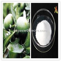 Natural Plant Extract Synephrine Citrus Aurantium Extract Powder