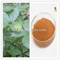 Natural Plant Extracts Eleutheroside E CAS 14902-16-8 for Traditional Chinese Medicine