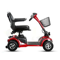 Linix Electric Scooter D103-2 (Four Wheels)