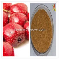 Natural 5% 80% Flavones Hawthorn Berry / Fruit Extract
