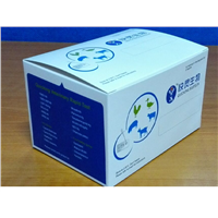 Bovine Brucella Antibody Test with ISO9001 Certification