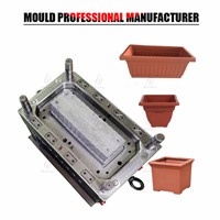 Chinese Mould Supplier Plastic Bonsai Pot Mould Injection Factory In Taizhou