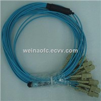 FTTH Fiber Optic Patch Cord MPO-SC 24 Cores Fibers OM3