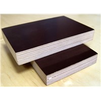 18mm 1220*2440 WBP Glue Phenolic Board Plywood Standard Size Philippines
