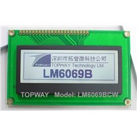216X64 Graphic LCD Module Cog Type LCD Display (LM6069D) for Audio Player 1u Case