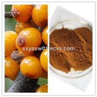 Natural Soften Blood Vessels Seabuckthorn Extract 5% 65% Flavone