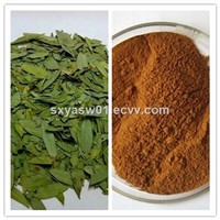 Manufacturer Supply Sennoside Natural Laxative Effect Senna Leaf Extract