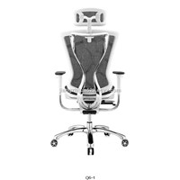 Modern Classic Designed High Back Executive Ergonomic Mesh Office Chair