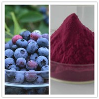 Natural Antioxidant Blueberry Extract 25% Anthocyanidin