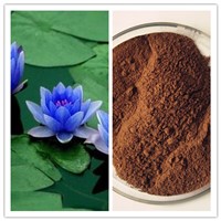 Natural Clear Summerheat 50:1 100:1 Blue Lotus Extract