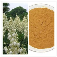 Natural New Feed Additives Yucca Smalliana Extract Yucca Extract