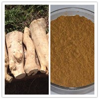 Natural Improve the Human Sexual Function 10: 1 20: 1 Tongkat Ali Root Extract