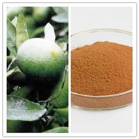 Natural Hesperidin 90% 95% 98% Orange Peel Extract