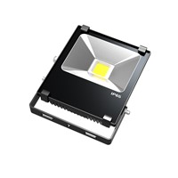 20W LED Flood Light Manufacturer