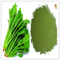 Natural 100% Water Soluble Delay Aging Spinach Juice Powder
