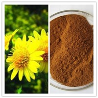 Natural 10%-80% Buddleoside Chrysanthemum Indicum Flower Extract