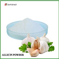 China Manufacturer Price 25% Allicin Garlicin Powder