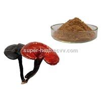 Reishi Mushroom Extract Spore Powder Ganoderma Lucidum 81907622