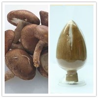 Natural Plant Extract Anti-Tumor Shiitake Mushroom Extract 10% 30% Polysaccharides