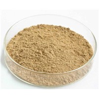 High Quality Soybean Isoflavones Extract Power, Women Health Natural Water Soluble Soy Isoflavone 40%