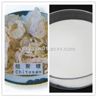 High Quality 70%-98% Chitosan (CAS No 9012-76-4)