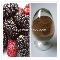 Natural Mulberry Berry / Fruit Extract with Anthocyanidins