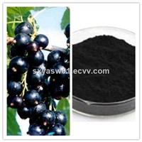 Natural Antioxidant Black Currant (Juice) Powder