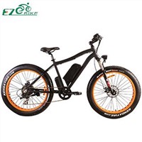China Electric Bicycle Electric Bike TDE07