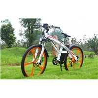 High Quality Electric Bicycle Electric Bike TDE03