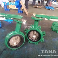 Cast Iron Lug Type Double Shaft Epdm Seat Butterfly Valve with Lever Operated