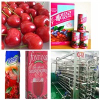 Automatic Cherry Juice Processing Line