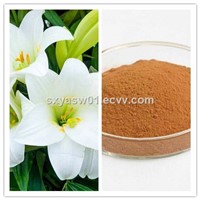 Natural 10: 1 20:1 Lily Extract